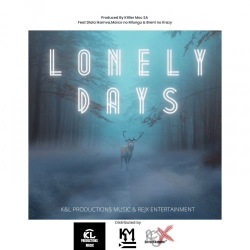 Lonely Days Image