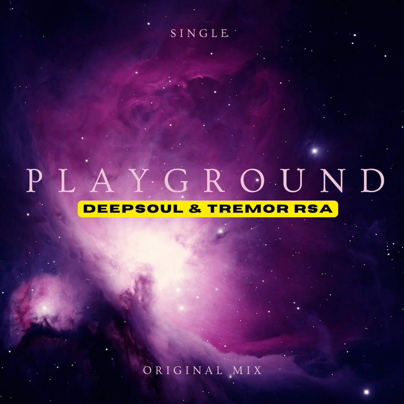 DeepSoul & Tremor Rsa - The Playground (Original Mix) Image