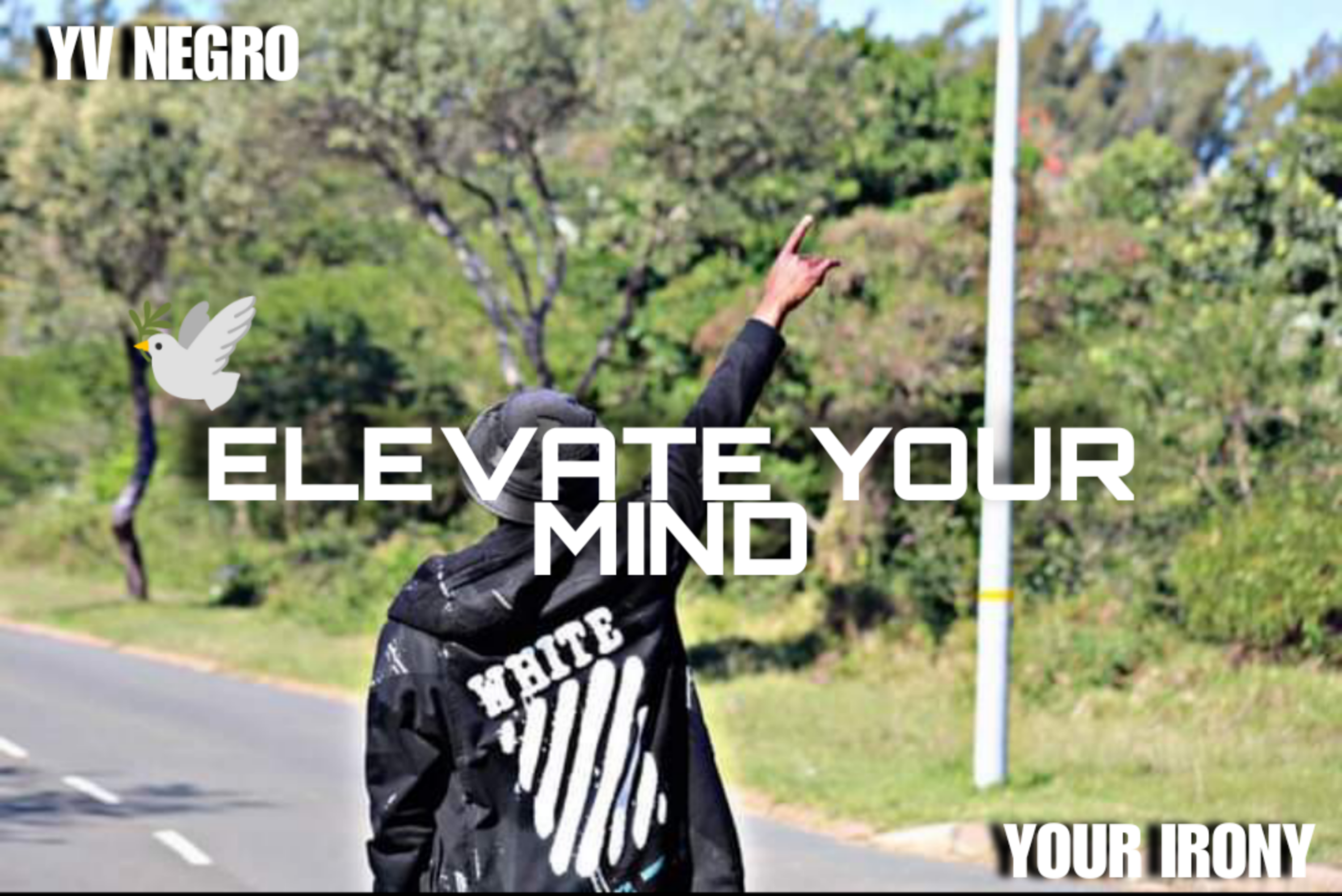Elevate Your Mind Feat. Your Irony Image