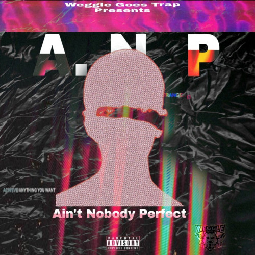 ain't nobody perfect  Image