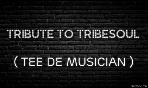 Tribute to Tribesoul (Tee De Musician) Image