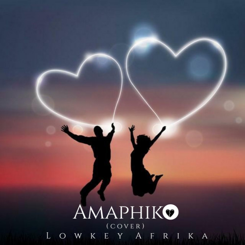 Amaphiko Cover Image