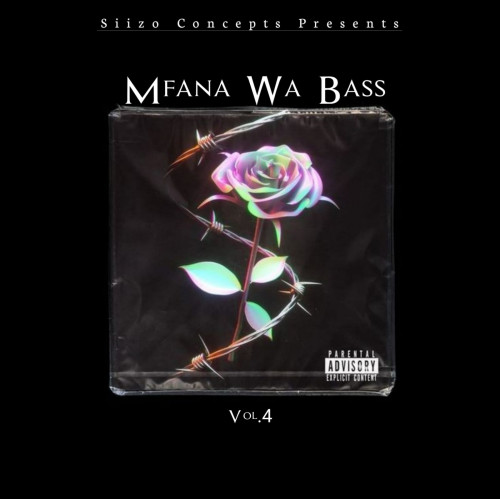Mfana Wa Bass Vol.4 Image