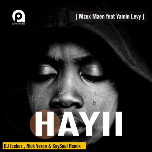 Hayii (DJ Icebox, Nick Veron & KaySoul Remix)  Image