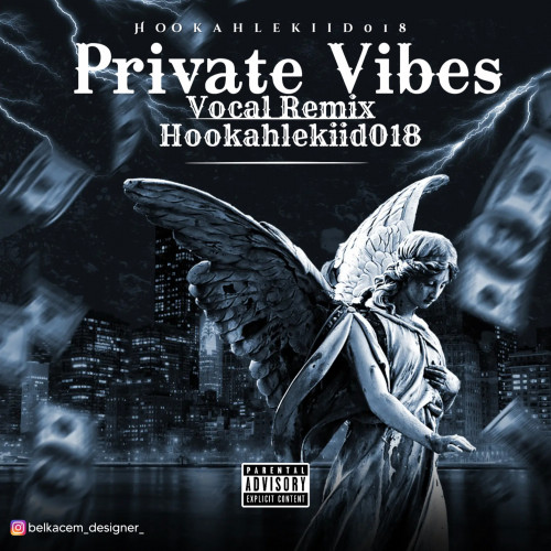 Private Vibes(Joy Remix)Feat. Hookahlekiid018  Image