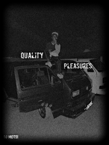 Quality Pleasures Vol 05 Image