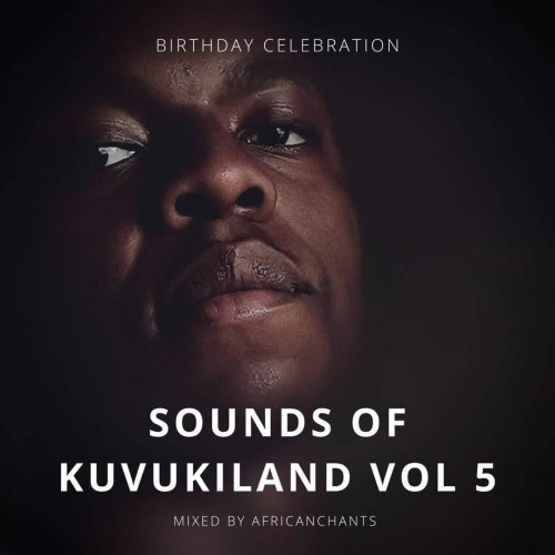 Sounds of KUVUKILAND VOL 5  Image